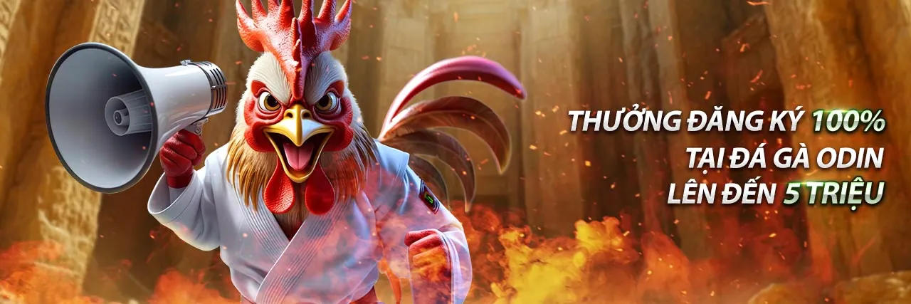 Dịch vụ hỗ trợ khách hàng chuyên nghiệp của 6623galaxy đăng nhập